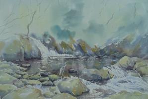 Fishing at the Devil's Glen, Co.Wicklow.